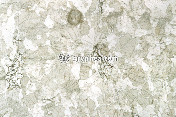 Gabbro rubané LPNA x3,5 - gryphea.com